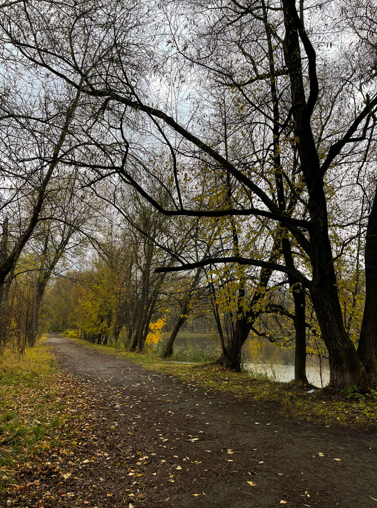 Осенью парк особенно красив