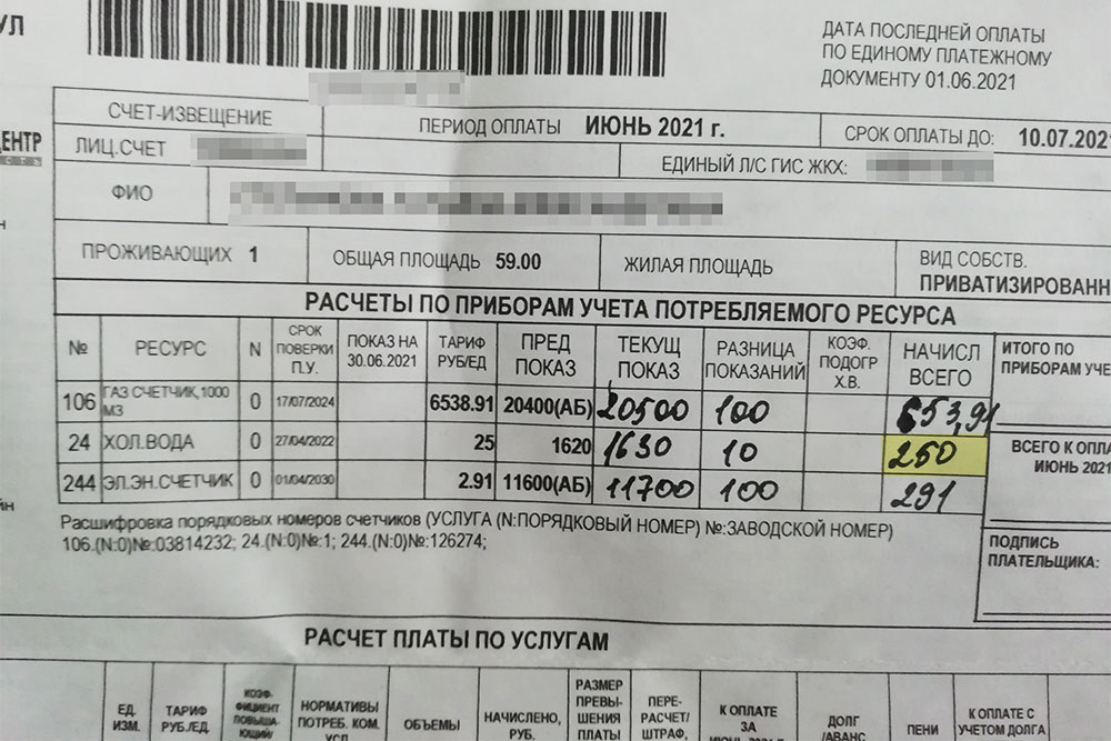 В июне 2021 года я использовала капельный полив, израсходовала 10 м³ воды и заплатила 250 ₽ при тарифе 25 ₽/м³