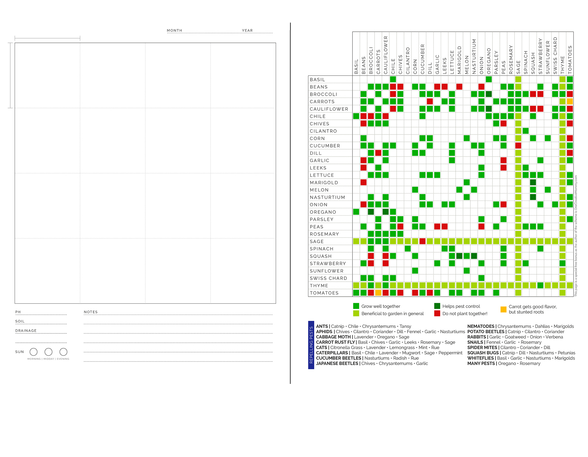 Слева сетка планирования посадки растений по квадратам, справа бонусная таблица совместимости овощей и зелени. Система посадки огорода квадратами довольно популярна в США