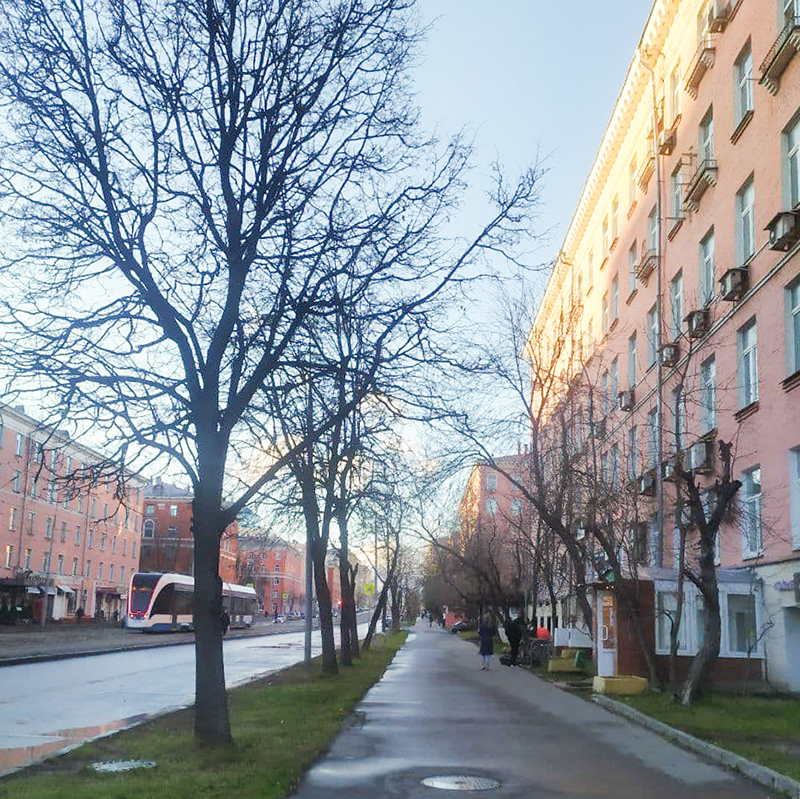 На улице хорошо: погибающее осеннее солнце, мало людей