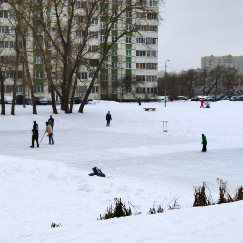 Фото с нашей прогулки