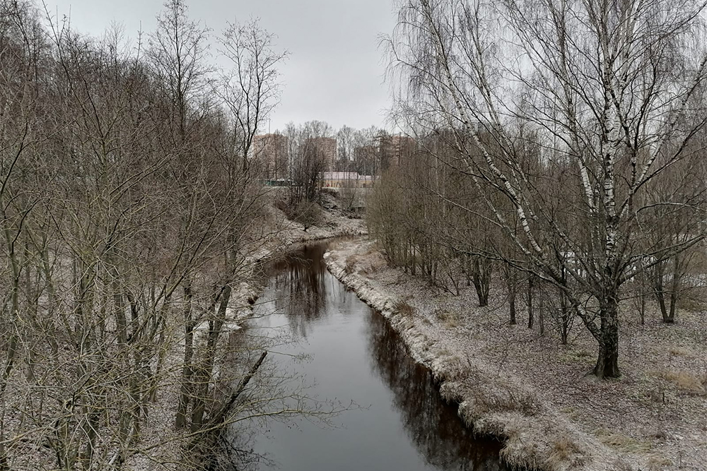 Рядом с нашим домом течет река. Летом здесь гораздо красивее