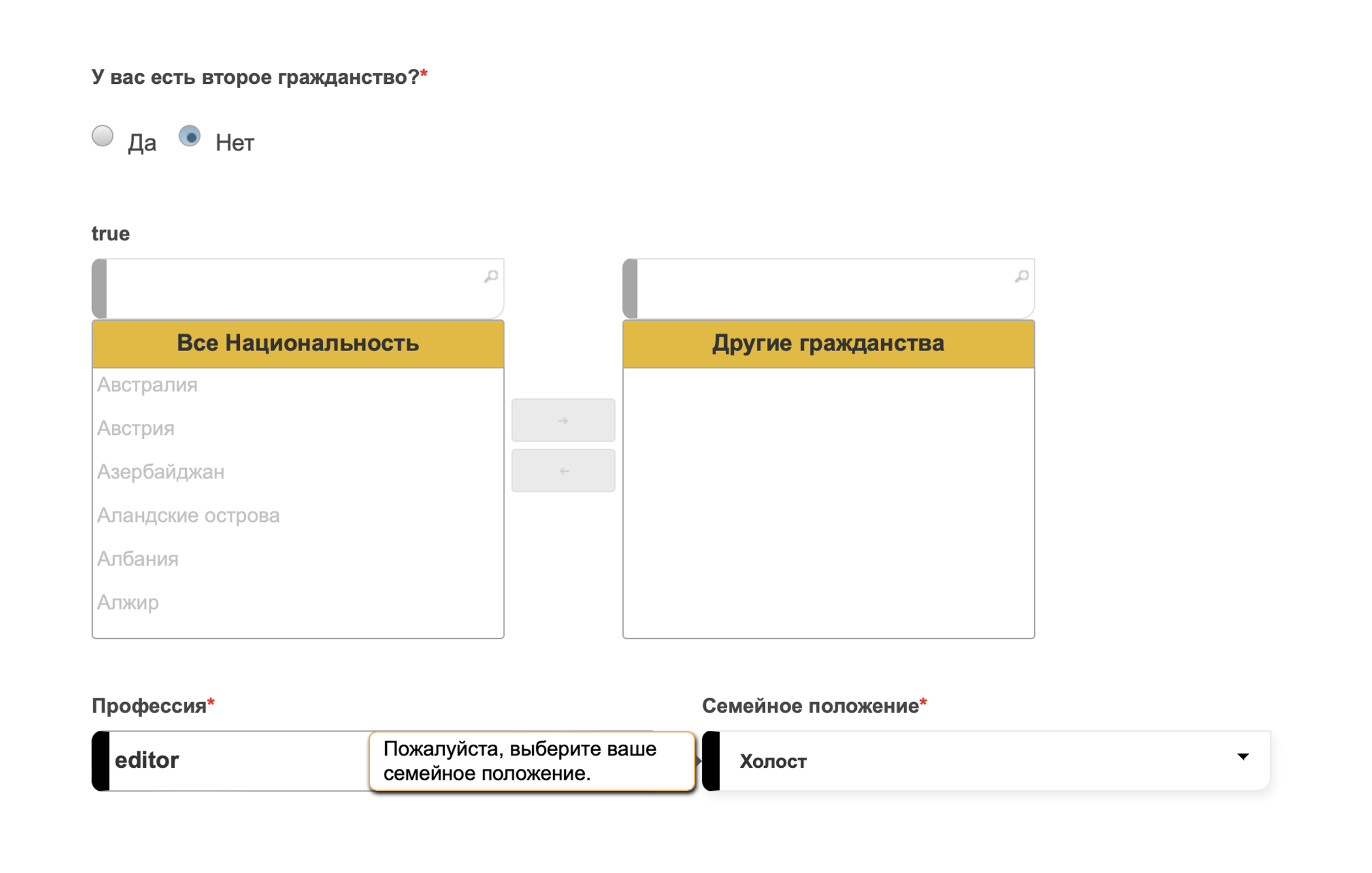 Укажите, есть ли второе гражданство, какая у вас профессия и семейное положение. Профессию пишут на английском языке. Источник: visa2egypt.gov.eg