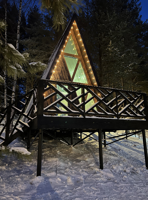 Дом A-Frame. Источник: aldi-karelia.ru