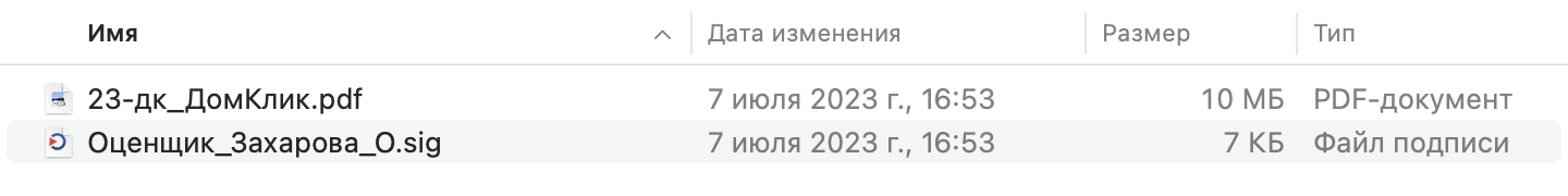 Так выглядит на рабочем столе отчет с электронной подписью оценщика