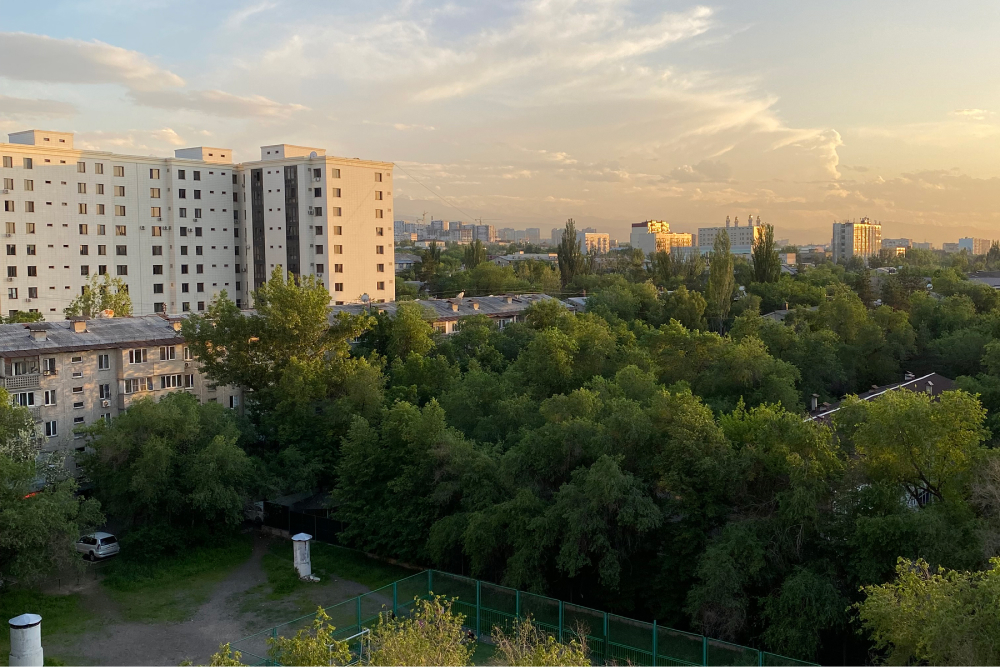 За деревьями не видно домов