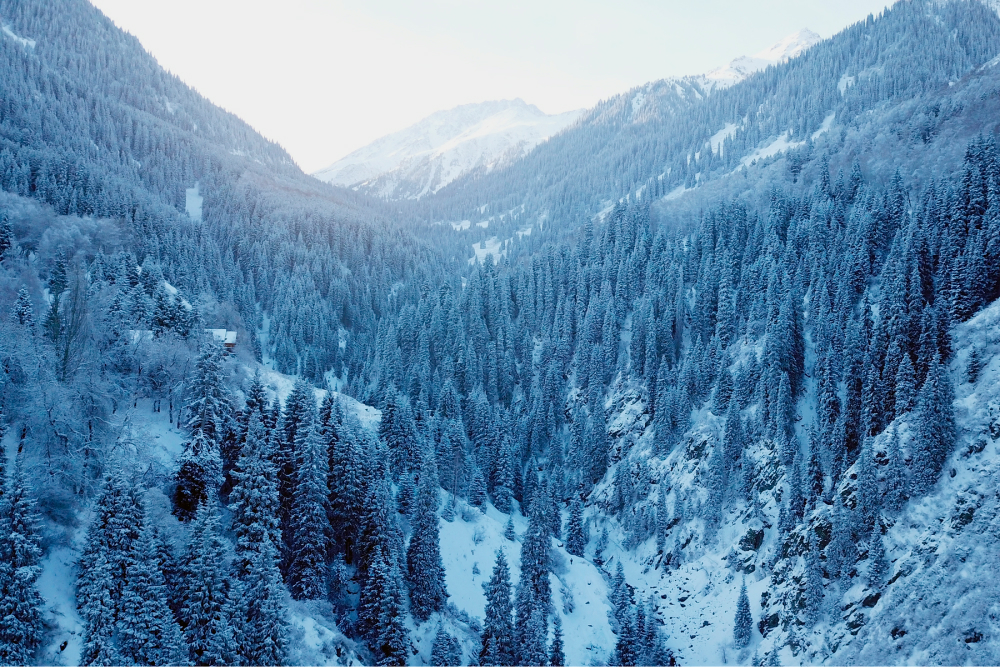 Такая красота всего в получасе езды от Алма⁠-⁠Аты. Фото: Panikhin Sergey / Shutterstock