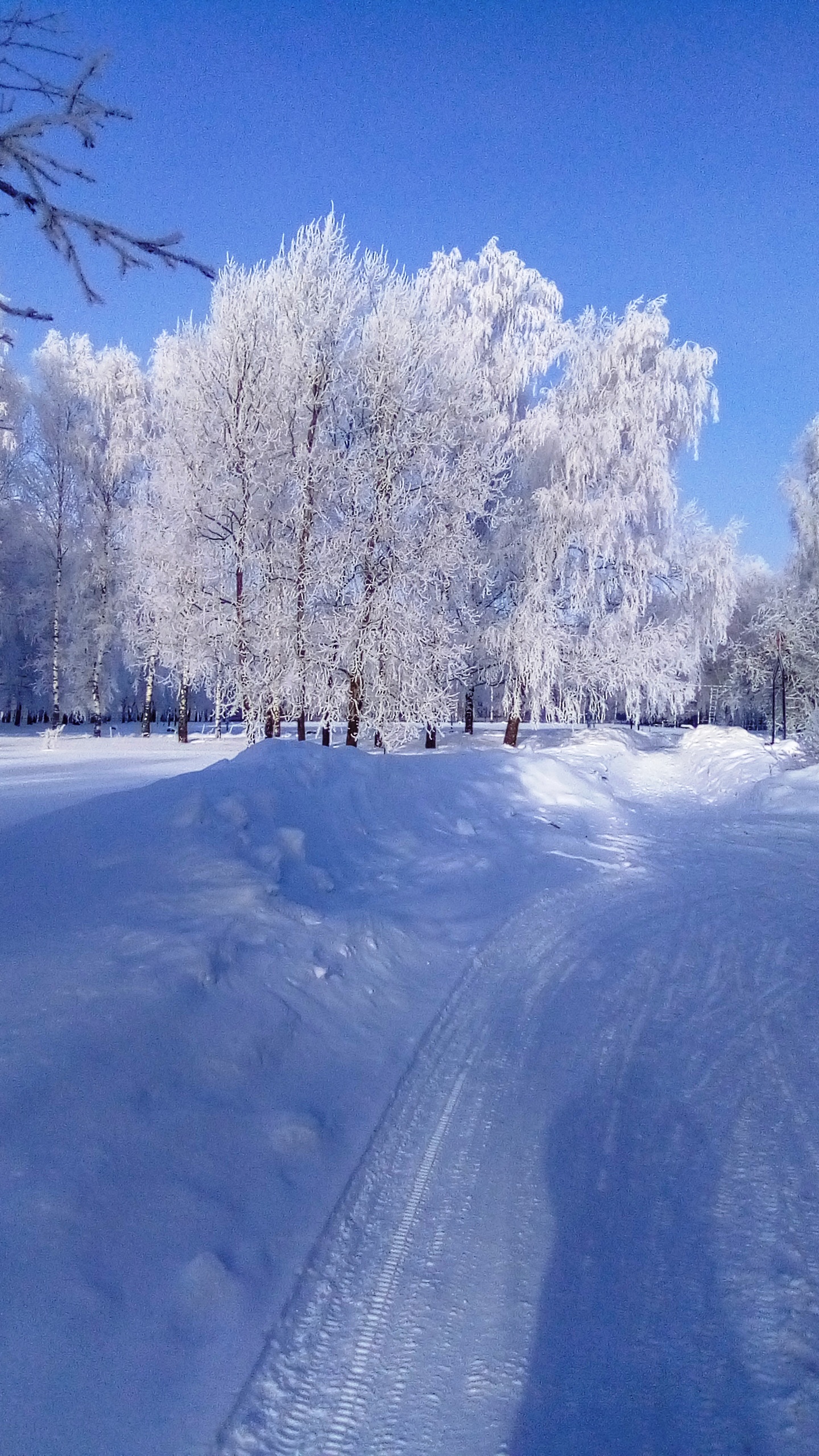 Фотография года