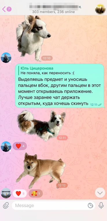 Описание 1