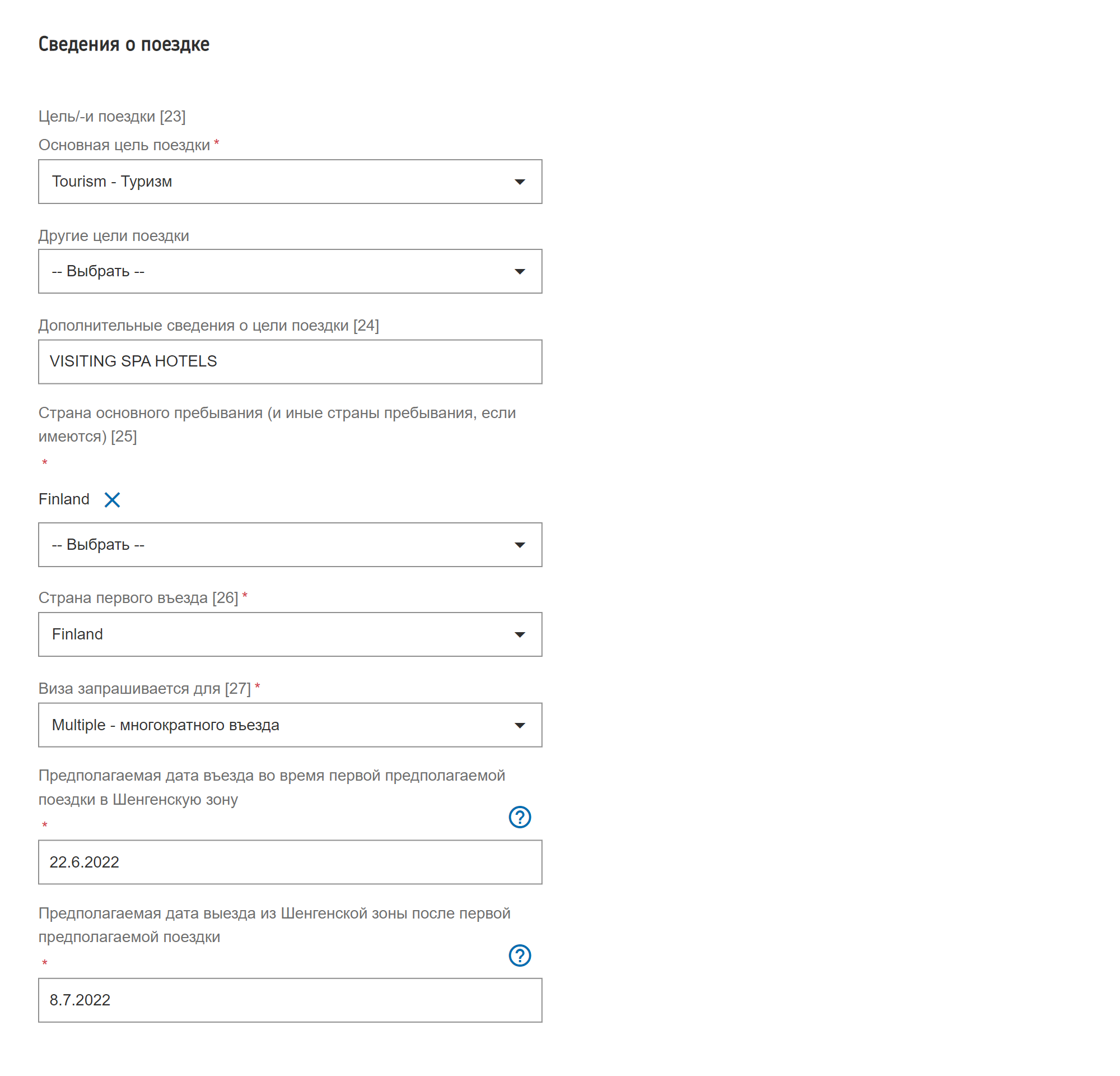 Если написать о дополнительных целях на русском языке, то система выдает ошибку, поэтому нужно использовать английский. Источник: finlandvisa.fi