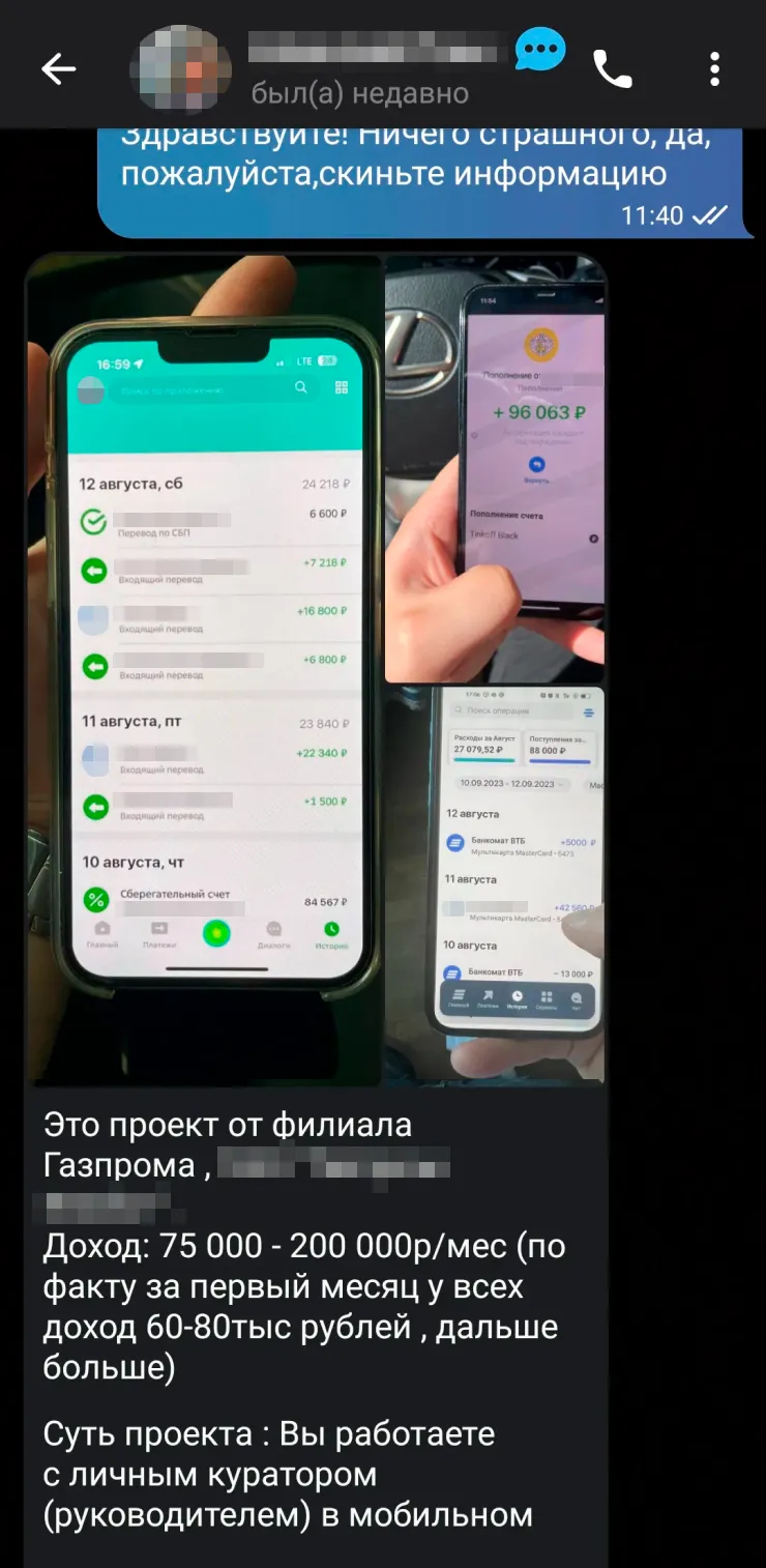 Скриншоты поступления денег должны были убедить меня, что предложение очень выгодное