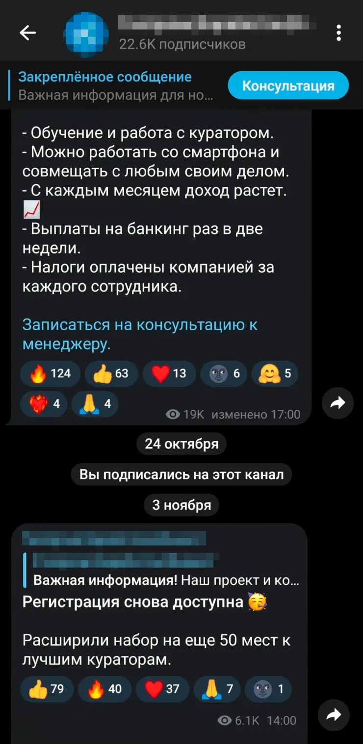 Канал мошенников выглядел солидно и не был похож на канал-однодневку