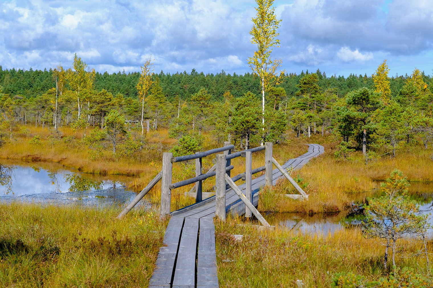 А это экотропа «Кемери». Фотография: Sandris Veveris / Shutterstock