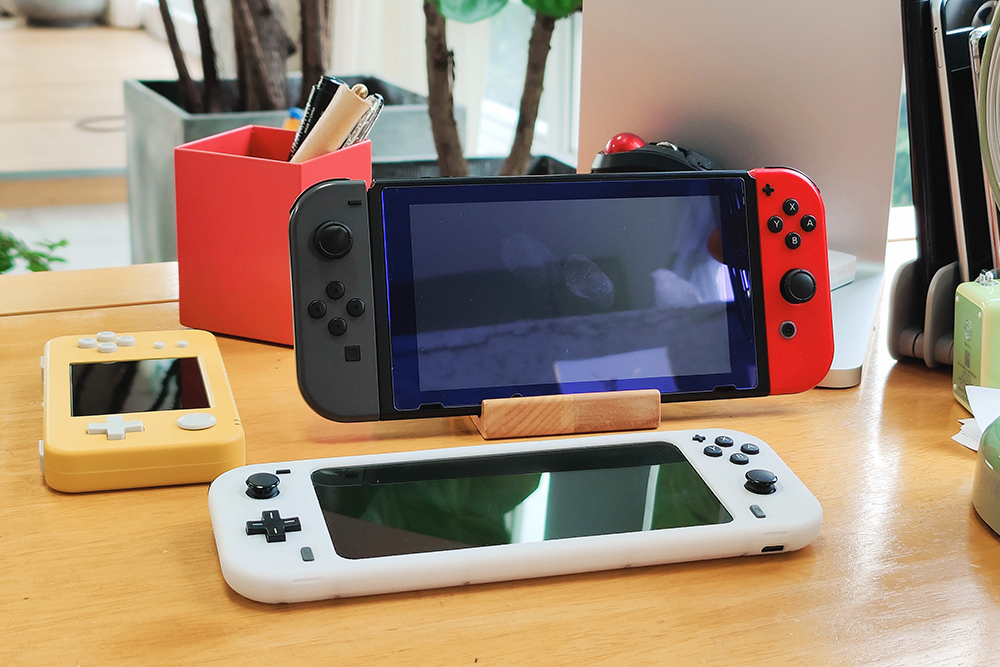 Nintendo Switch и Switch Lite. Источник: Jack Skeens / Shutterstock / FOTODOM