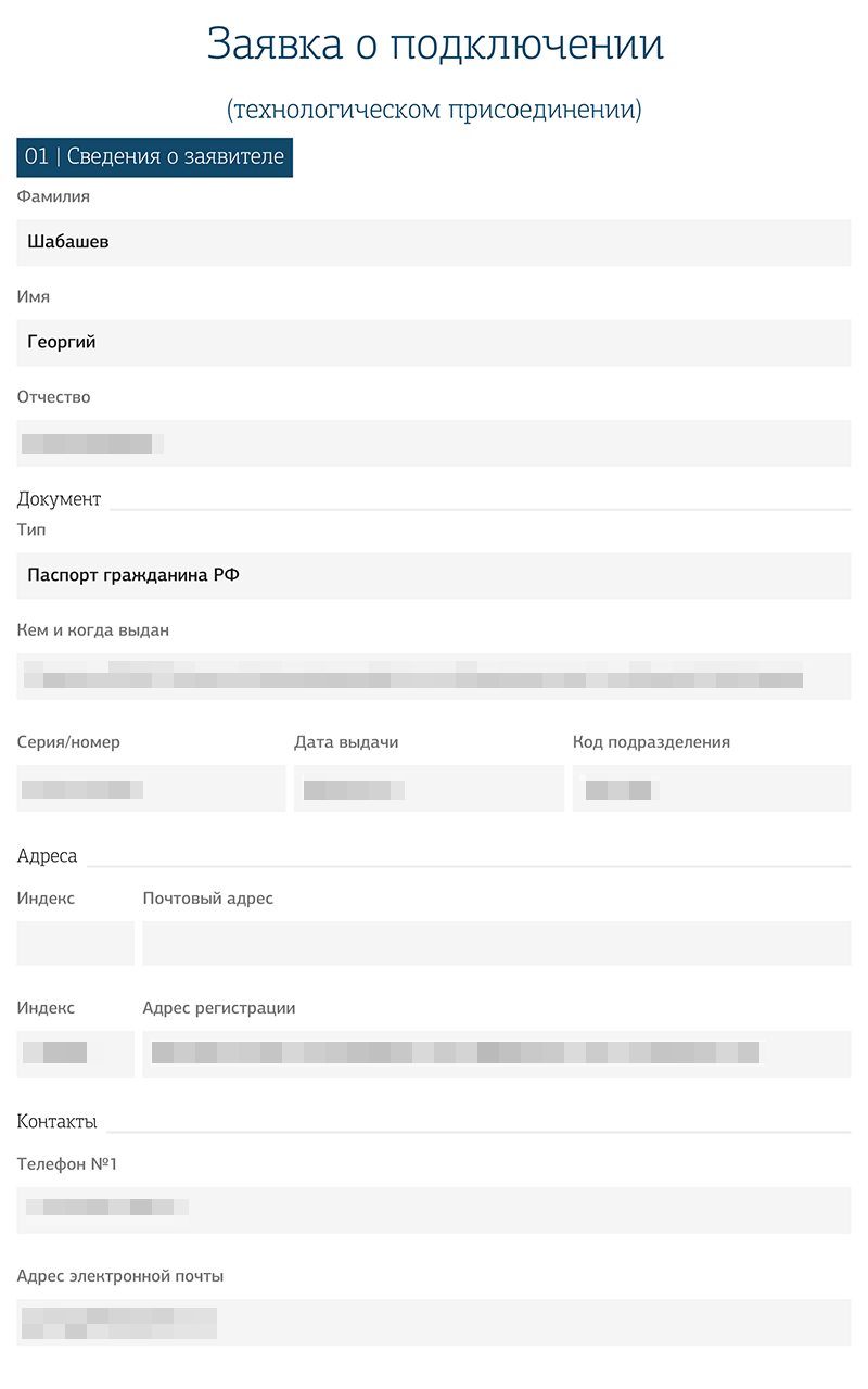 Автоматически созданная заявка. На первой странице — основные данные заявителя