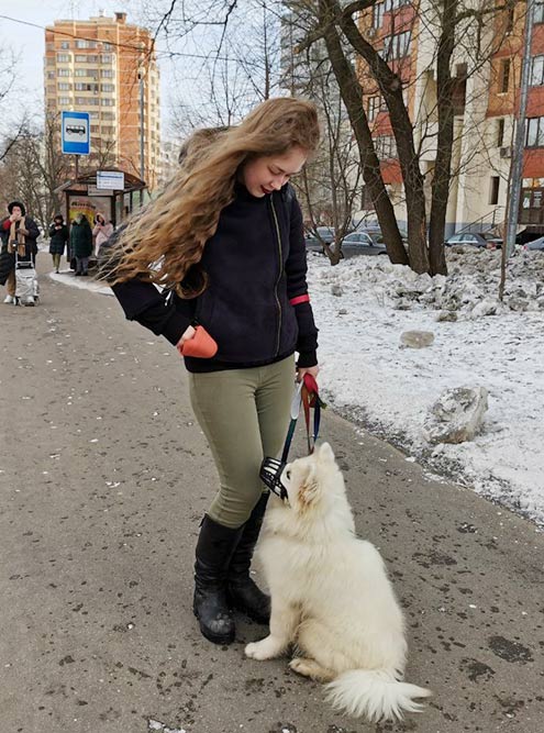 В оранжевой сумочке мы носим лакомства для Элли, например сыр и кусочки индейки. Эту сумочку можно прикрепить к карману с помощью застежки