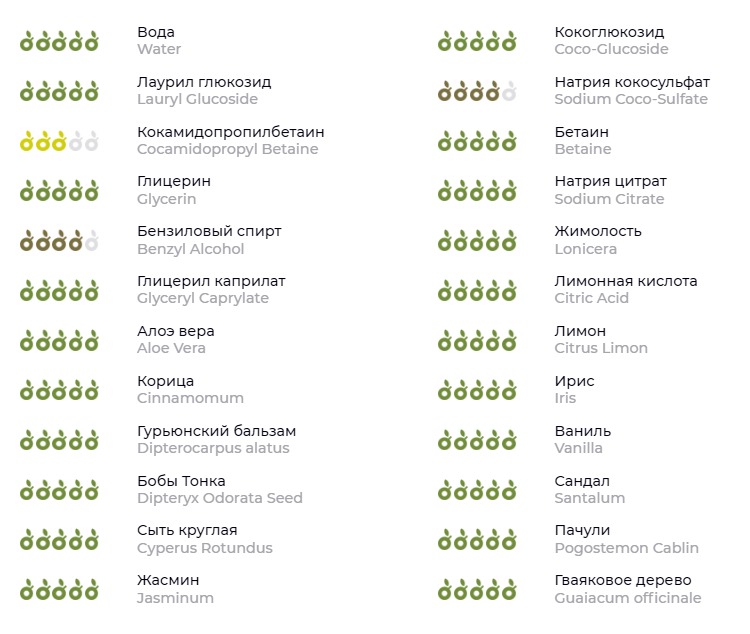 Список ингредиентов. Источник: ecogolik.ru