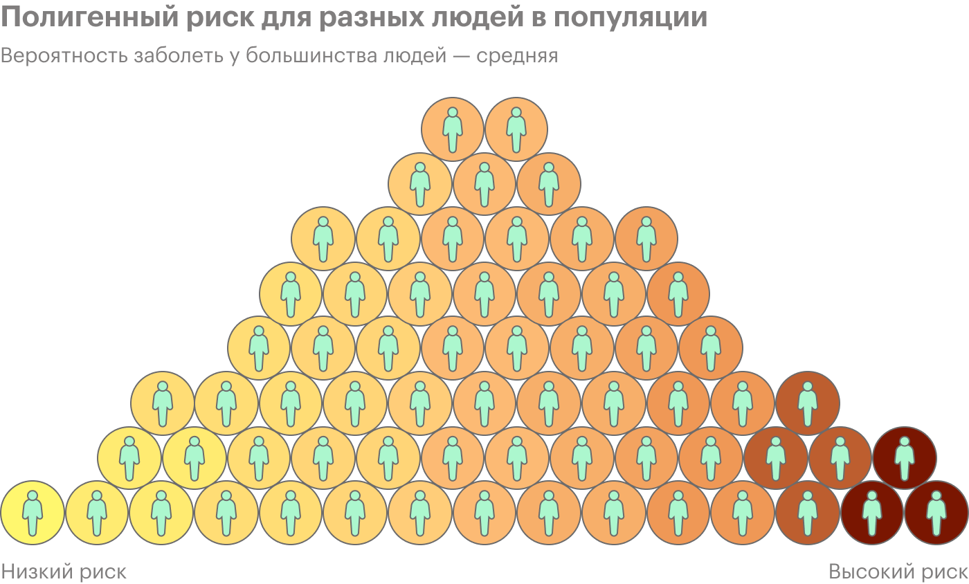 Каждый круг — отдельный человек. Некоторые люди заболеют с большей вероятностью, другие — с меньшей. Однозначно сказать это, как в случае со многими моногенными заболеваниями, нельзя. Большая часть людей окажется в середине. Для расчета риска каждого полигенного заболевания нужно оценить множество вариантов генов в сочетании с другими факторами. При этом данные о генетических различиях постоянно дополняются, и риск может быть пересчитан