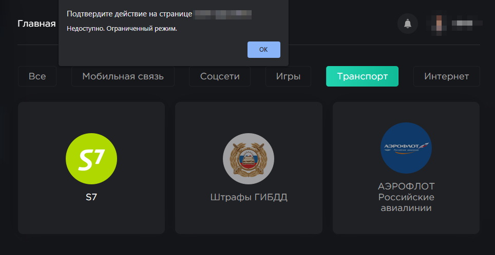 Мне не удалось проверить работу раздела, посвященного штрафам, оплате мобильной связи и других сопутствующих услуг: работает только «хранение криптовалюты»