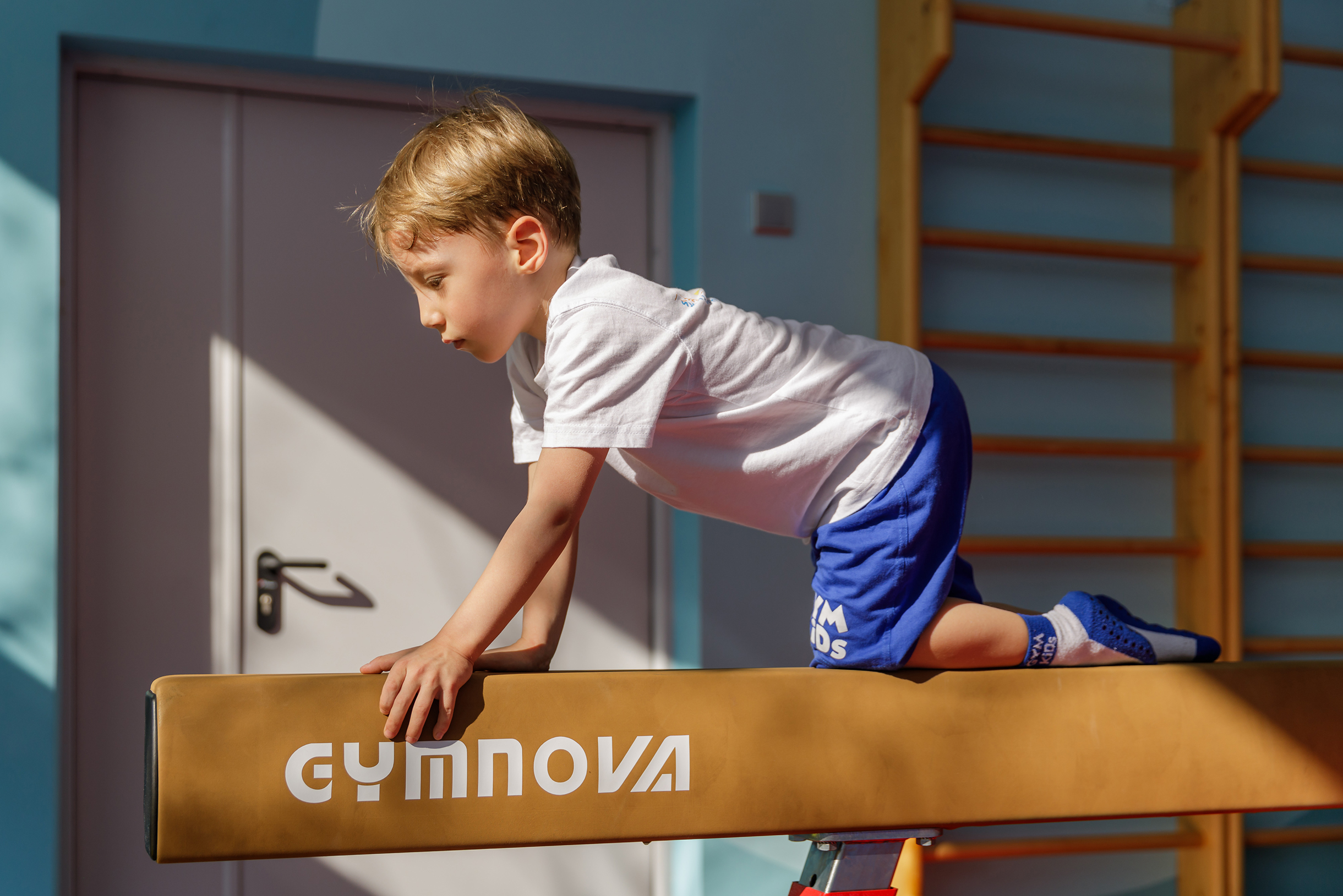 Один из снарядов Gymnova