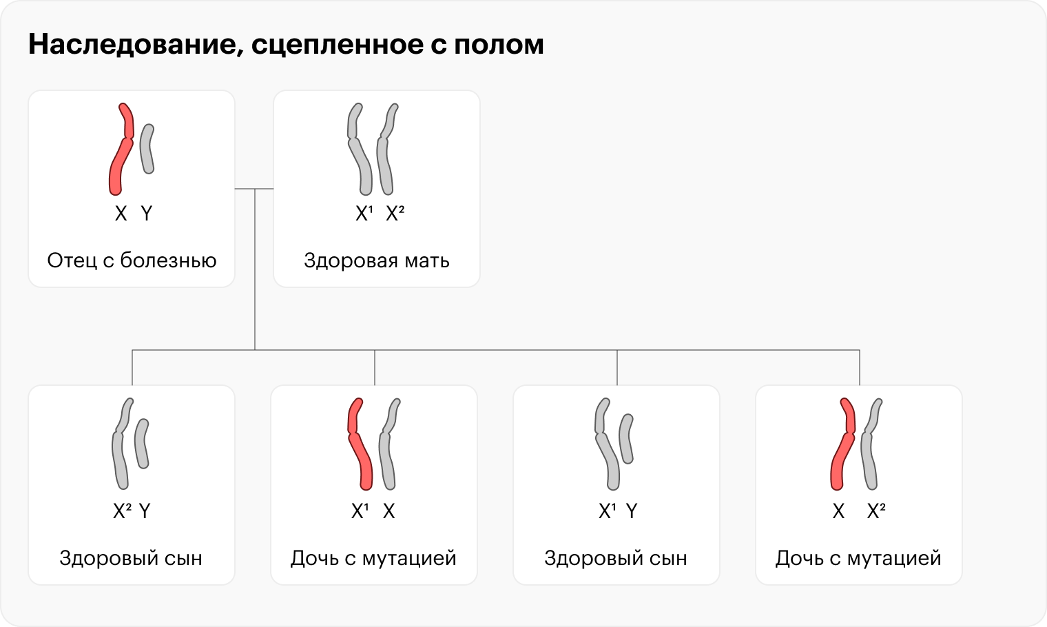 А вот у мужчины с заболеванием все дети будут здоровы, но дочери будут носителями болезни