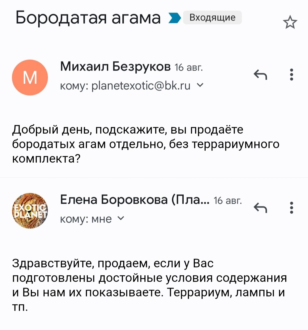 «Планета экзотики» не продает агам просто ради того, чтобы продать: им важно, чтобы животные содержались в хороших условиях