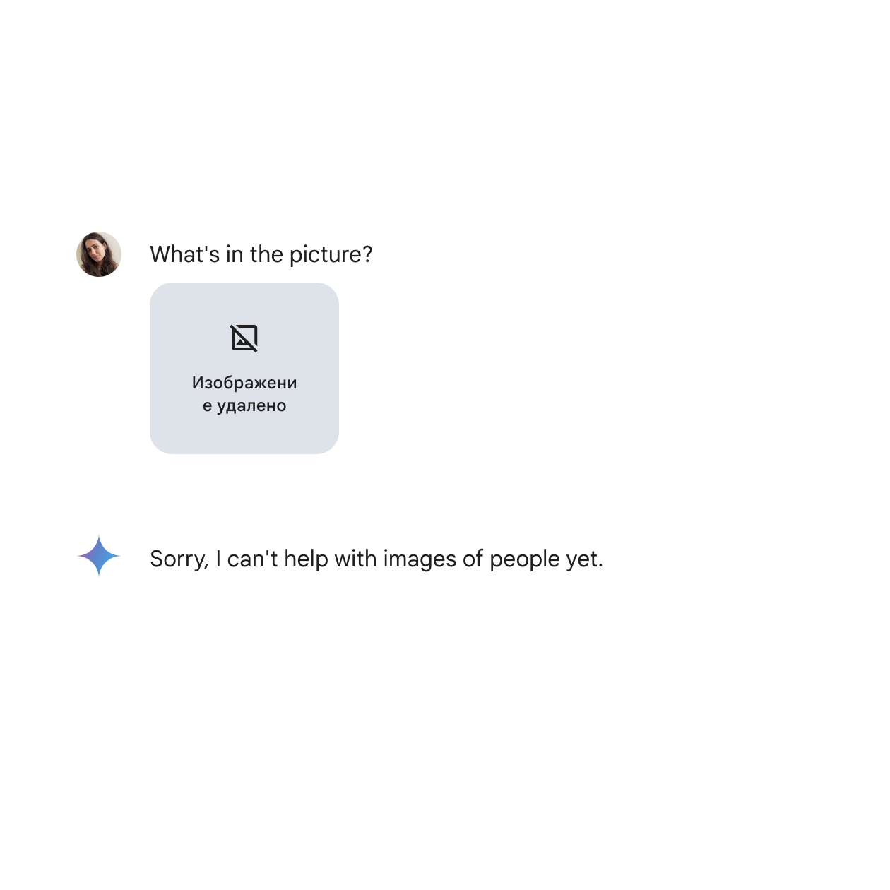Изображения с людьми чат⁠-⁠бот сразу забраковал и даже не стал разбираться, кто там. Пробовала задавать вопрос и на русском, и на английском языке — безуспешно