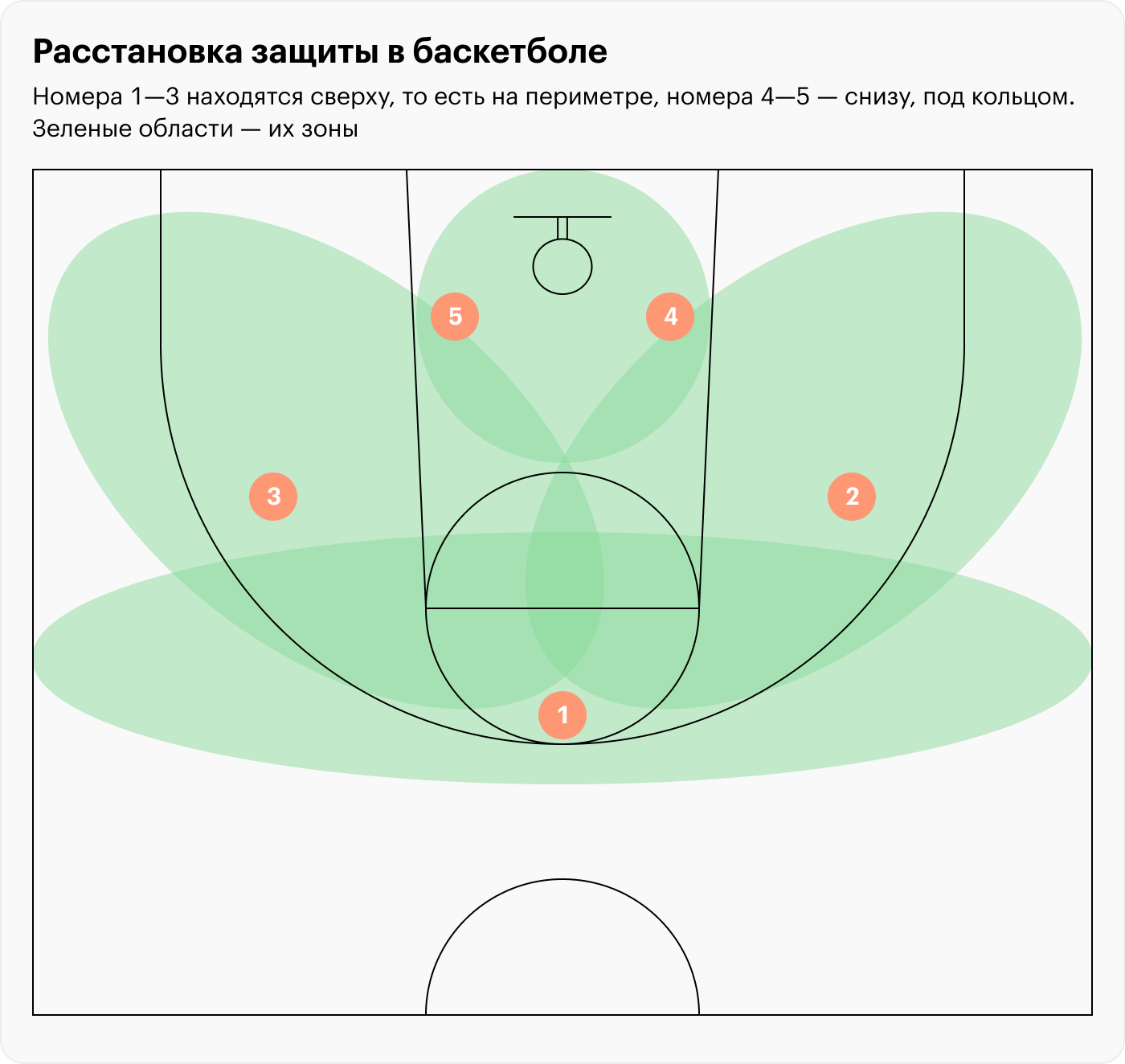 Номера 1—3 находятся сверху, то есть на периметре, номера 4—5 — снизу, под кольцом. Зеленые области — их зоны