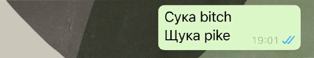 Мой партнер с трудом разбирался в произношении слов и ударениях