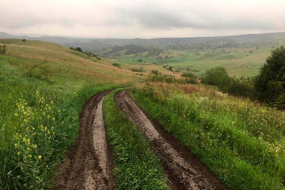 После дождя дороги в парке размывает