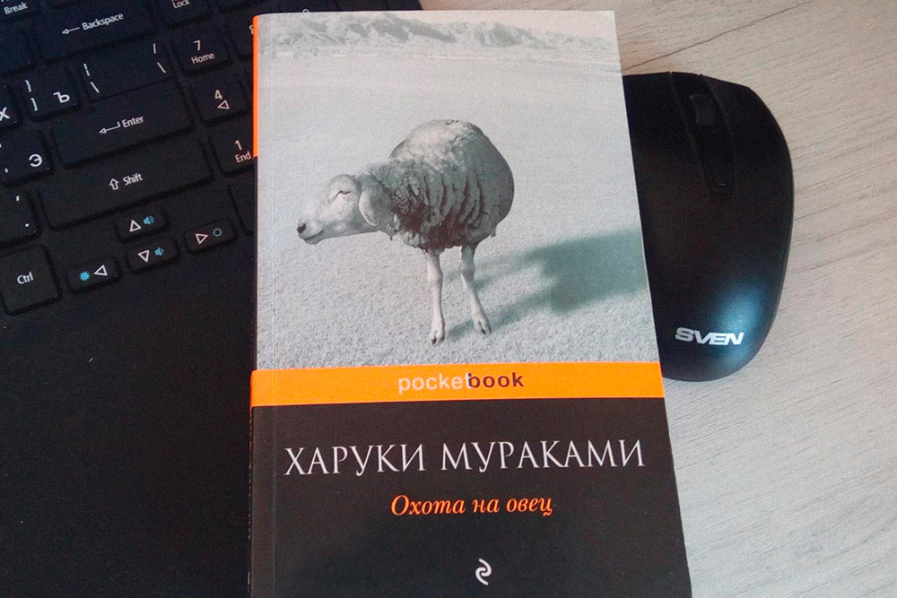 Следующая книга на очереди — бумажная. Только начал читать, мнение пока высказывать рано