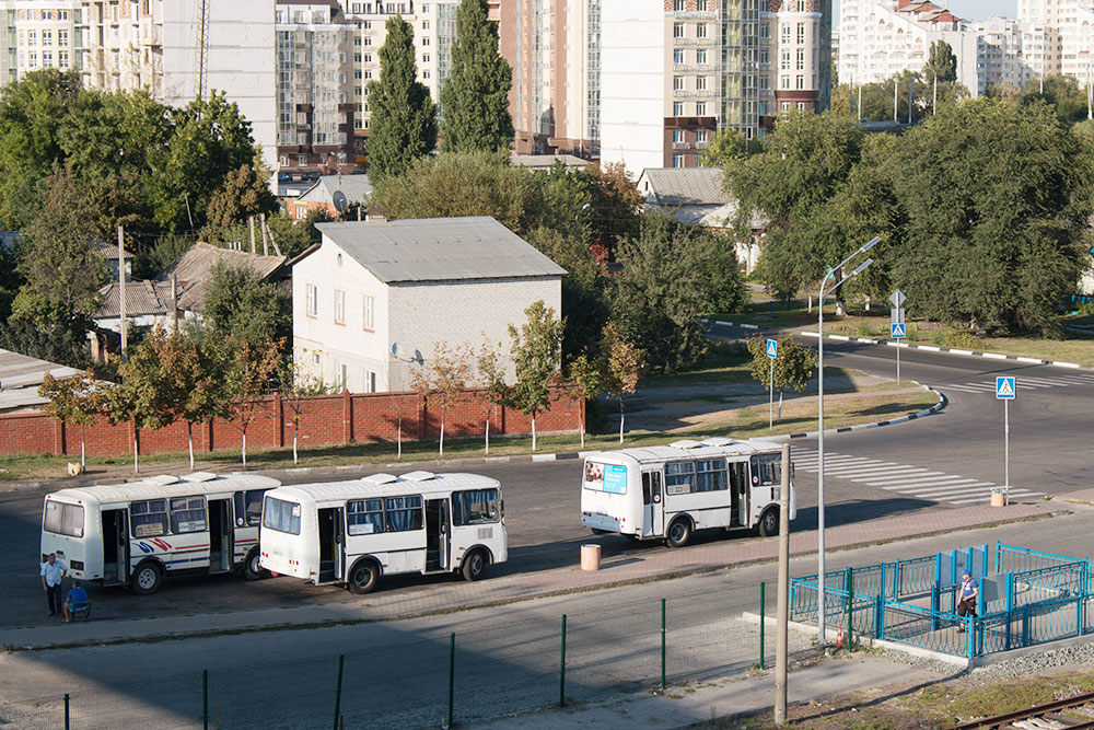 Основная часть маршруток — пазики, а вот газелей нет совсем