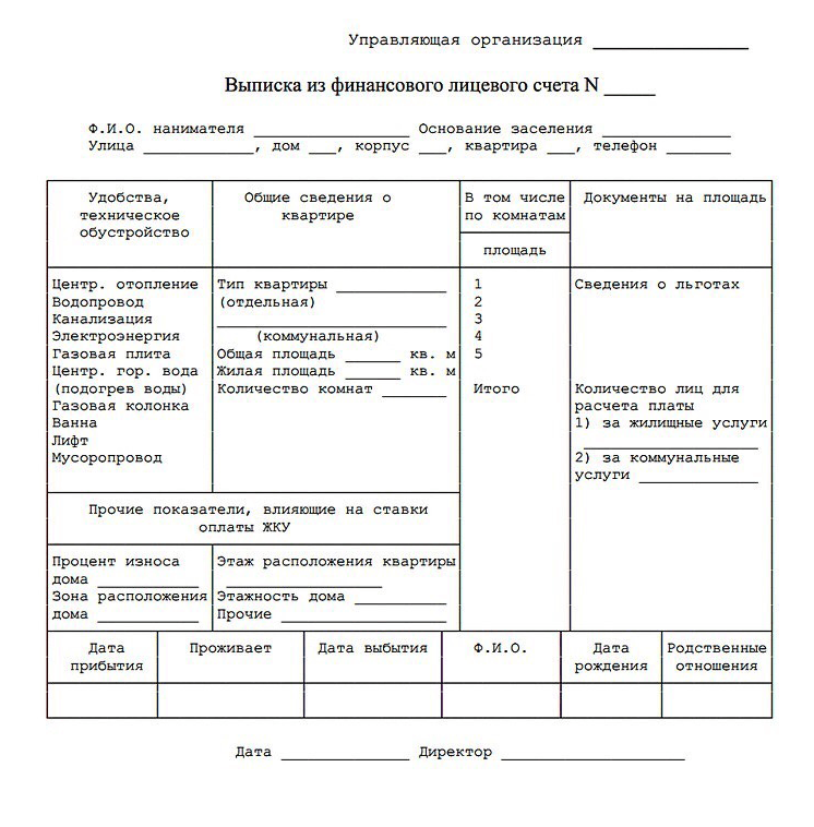 Бланк выписки из финансового лицевого счета