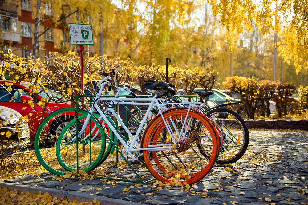 Типичная улица в Академгородке. Фото: Елена Симакова