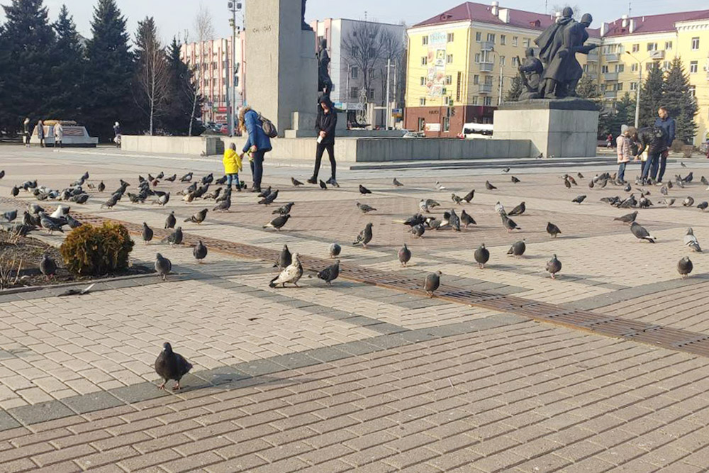 Площадь Партизан. В центре — памятник защитникам Брянска