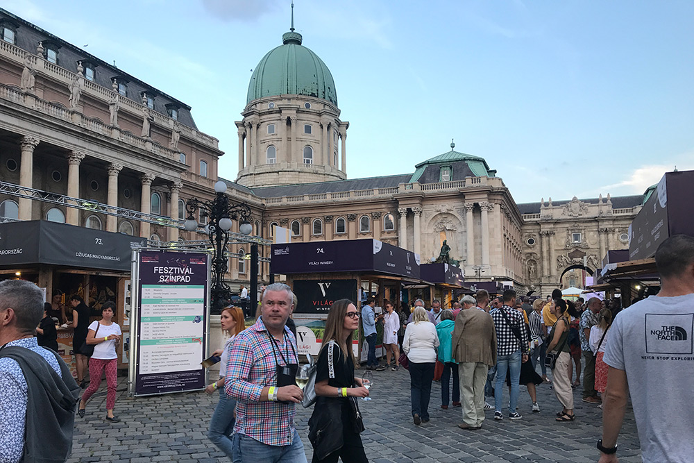 Самый масштабный местный фестиваль вина — Budapest Borfesztivál. Он ежегодно проходит на территории Королевского дворца