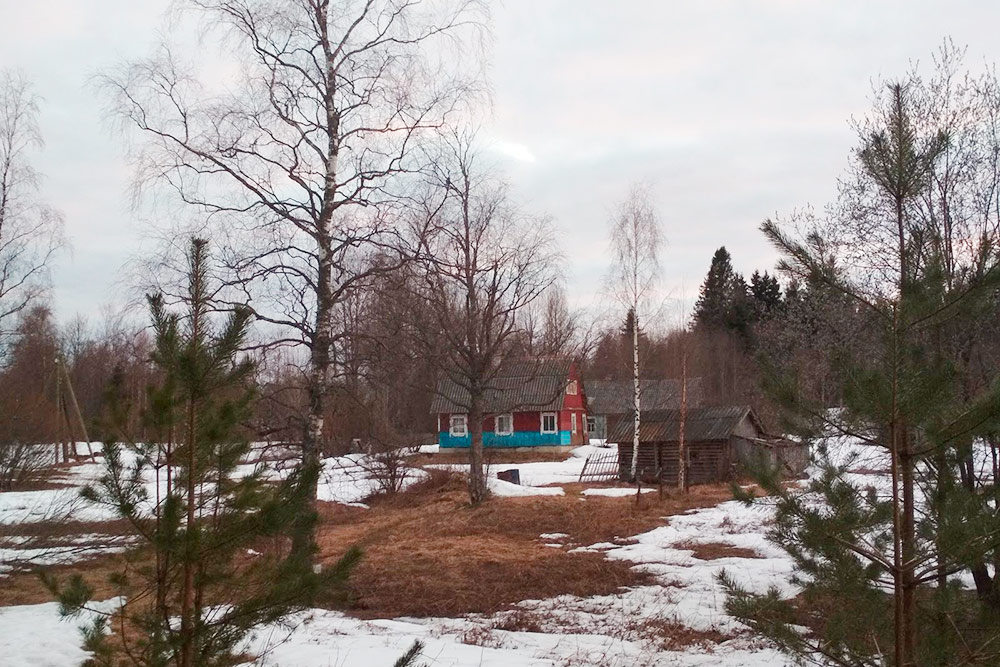 Наш дом ближайший к озеру, вместо соседей — лесок