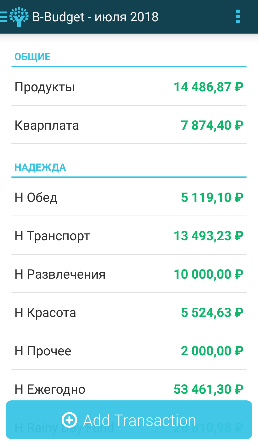 Так выглядит мобильное приложение YNAB