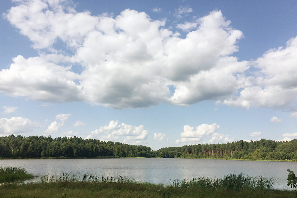 Озеро Старое с бесплатным пляжем и парковкой