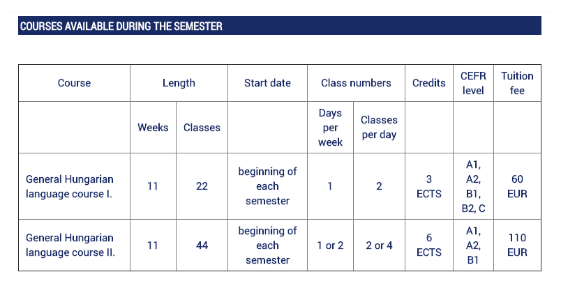 Программа изучения венгерского языка в университете Лоранда Этвеша. Занятия ведут англоговорящие преподаватели
