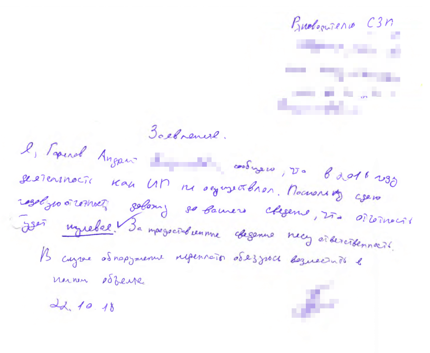 Я ИП, но за 2018 год ничего не заработал, поэтому написал заявление, что сдам нулевую отчетность по итогам 2018 года