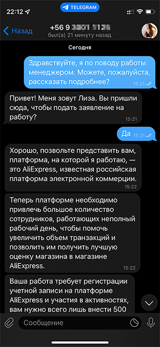 Менеджер даже не стала разыгрывать спектакль. Уже через минуту после знакомства она написала, что если я переведу 500 ₽, то буду зарабатывать до 30 тысяч в день