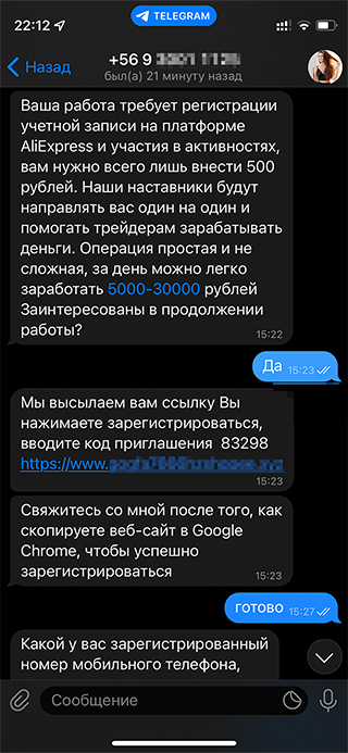 Менеджер даже не стала разыгрывать спектакль. Уже через минуту после знакомства она написала, что если я переведу 500 ₽, то буду зарабатывать до 30 тысяч в день