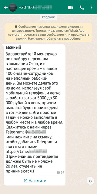 Интересно, что сообщение от имени российской компании пришло с египетского номера. Настораживает и то, что написали в «Вотсапе», а разговор предложили продолжить в «Телеграме». Но когда нужна работа, такие подробности легко пропустить