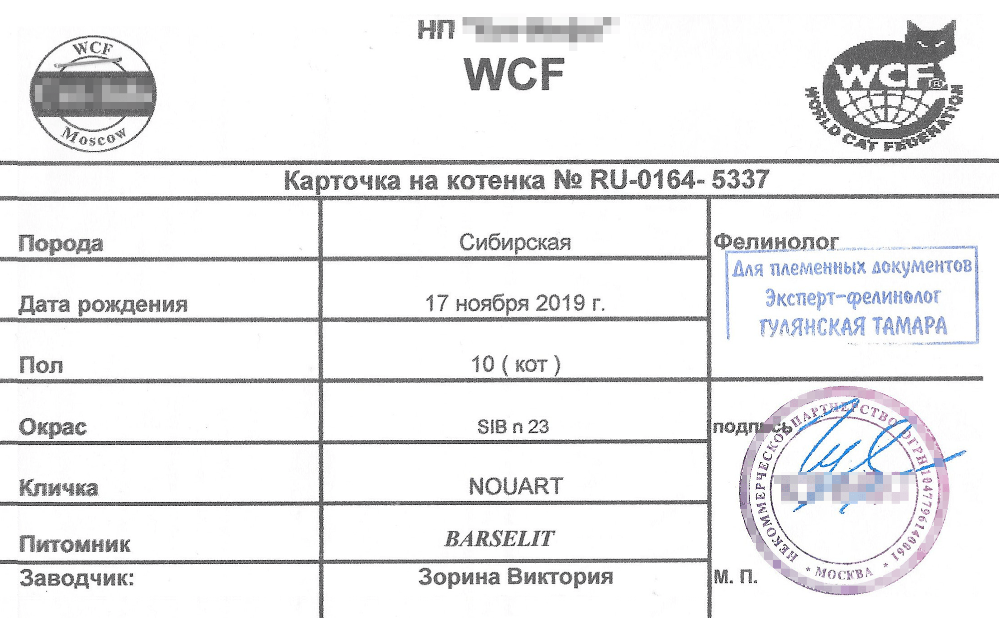 Пример метрики на котенка, в разных клубах они выглядят по-разному