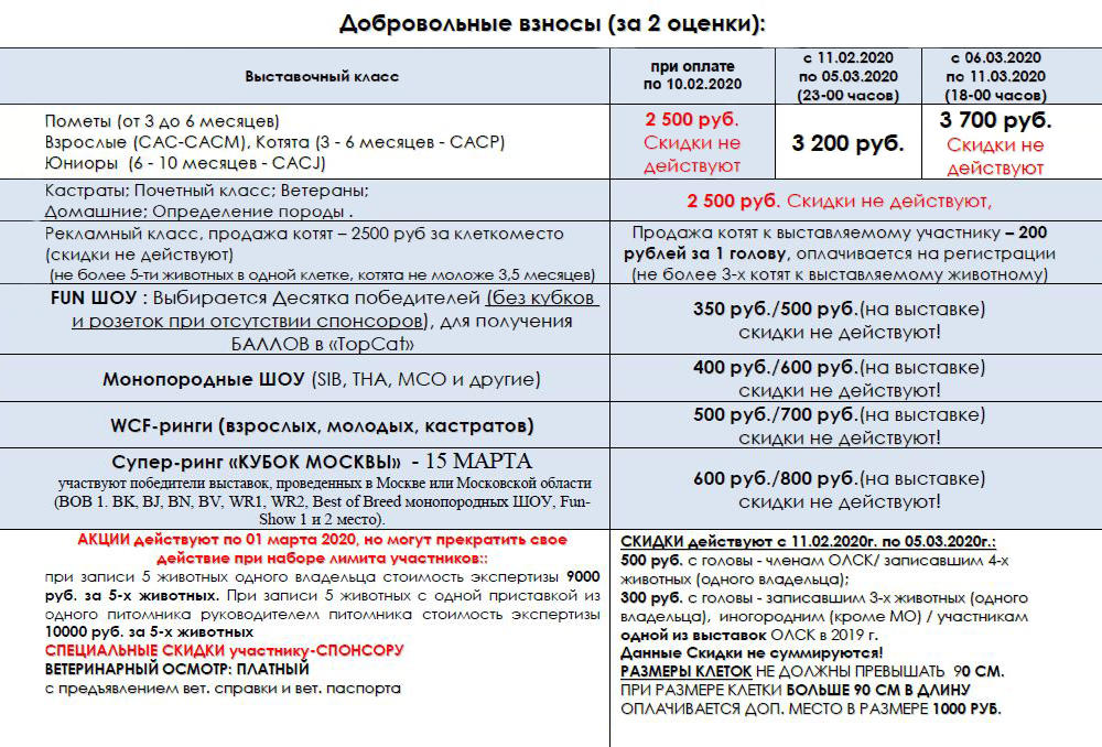Как устроена оплата участия в выставке кошек «Кубок Москвы»