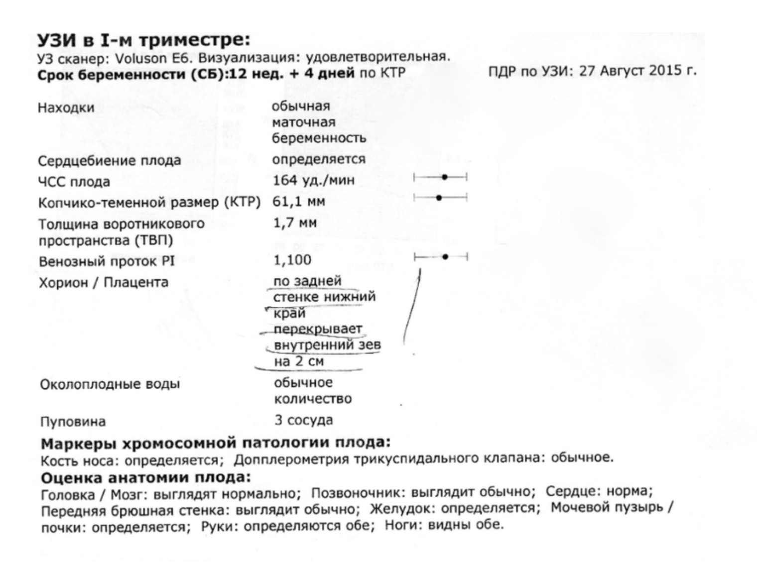 Иногда врач может сразу указать в заключении предполагаемую дату родов по менструации и по УЗИ