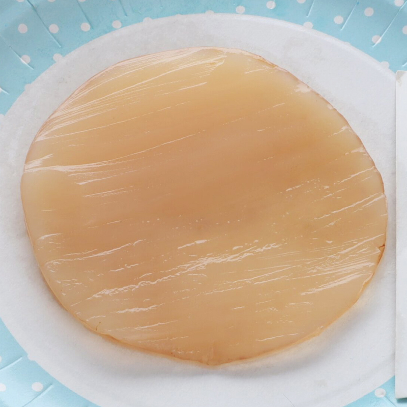 Культура бактерий и дрожжей SCOBY