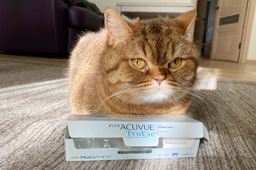 Мои первые линзы Acuvue Trueye были сделаны из силикон-гидрогеля, они хорошо держали форму, их было просто надевать и снимать. В них можно было спать днем — я засыпала в разных контактных линзах, но от этих сухость в глазах после сна была минимальной