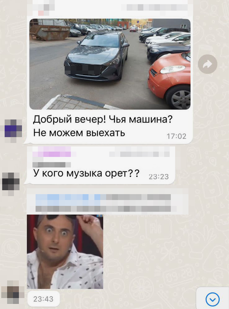 Скриншоты некоторых сообщений в чате дома